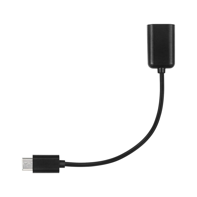 Cavo adattatore OTG Orange Pi  - Banana Pi Bpi-M5 recensione e prezzo